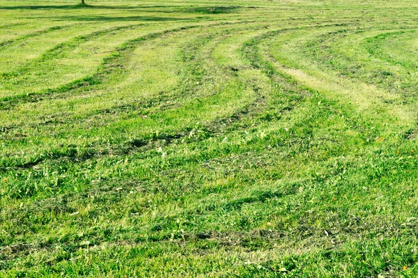 Kronkelende sporen links met een grasmaaier op het gras — Stockfoto