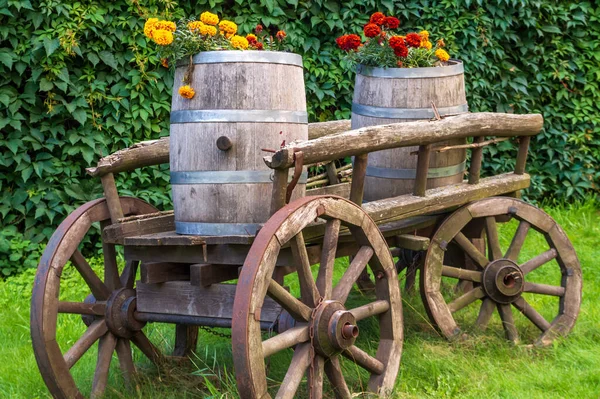 Barris de madeira com flores florescendo em um carrinho velho — Fotografia de Stock