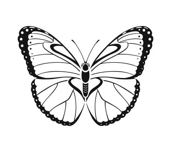 Silhouette Papillon Isolée Illustration Vectorielle Icône Contour — Image vectorielle