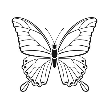 Papilio palinurus kelebek çizimi. Güzel tropikal uçan böceğin siyah silueti. Vektör simgesi.