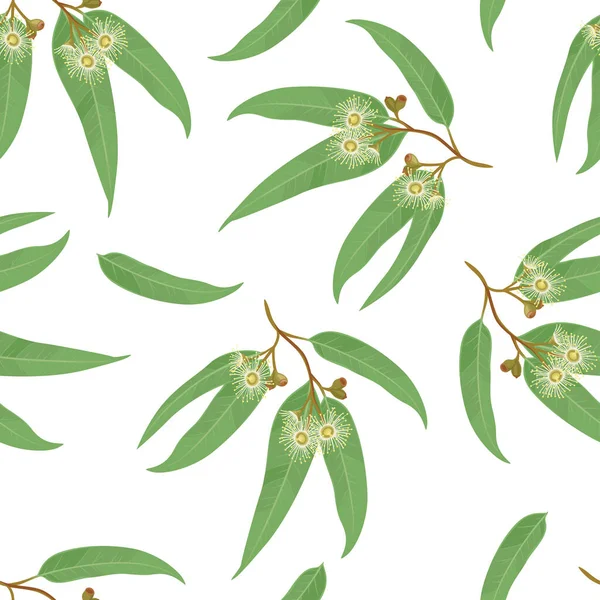 Eukalyptusblüten Und Grüne Blätter Mit Nahtlosem Muster Botanischer Hintergrund Vektorillustration — Stockvektor