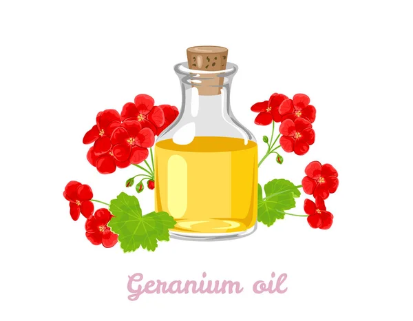 Geranium Aromatisches Glasflasche Und Rote Blüten Isoliert Auf Weißem Hintergrund — Stockvektor