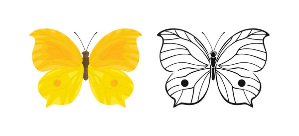 漂亮的黄色蝴蝶套装 昆虫的矢量漫画平面插图和轮廓轮廓 — 图库矢量图片