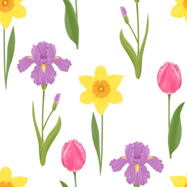 Botanik geçmişi. Çiçeksiz desen. Bahar çiçekleri nergisler, mor irisler ve yeşil yapraklı pembe laleler. Çizgi film tarzı bitkilerin vektör illüstrasyonu.