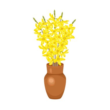 Beyaz arka planda izole edilmiş, kil kahverengi vazoda çiçek açan fındık çiçekleri. Çizgi film tarzında altın çanların vektör çizimi. Bahar çiçekleri simgesi.