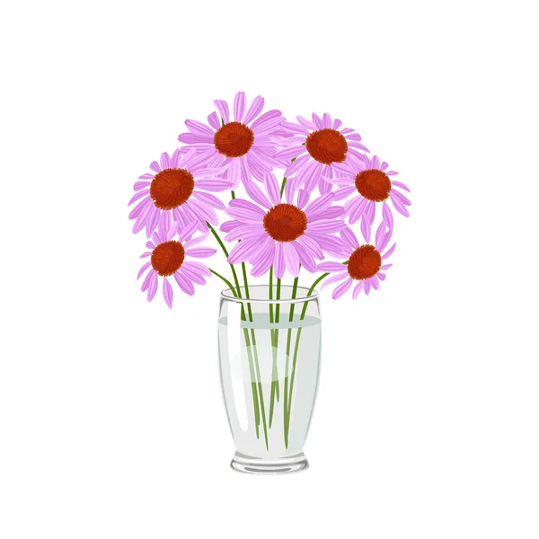 Bouquet Echinacea Transparent Glass Vase Isolated White Background Purple Flowers — Image vectorielle
