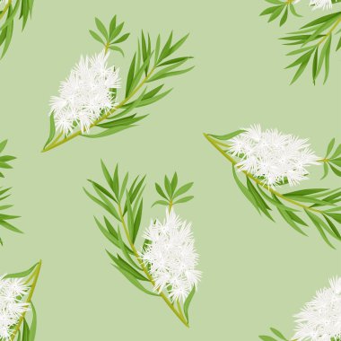 Çay ağacı yeşili yapraklar ve beyaz çiçek arka planı. Melaleuca alternifolia ya da bal-myrtles ile vektörsüz desen. Çizgi film düz stili.