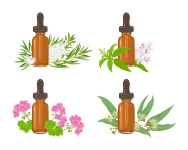 Beyaza izole edilmiş kehribar cam damlası şişesinde gerekli yağ koleksiyonu. Limon verbena, okaliptüs, sardunya ve çay ağacı. Çizgi film düz stili aromatik yağ ve bitkilerin vektör çizimi.