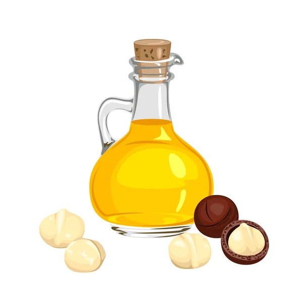 Macadamia Oil Glass Bottle Isolated White Background Healthy Food Vector — Wektor stockowy
