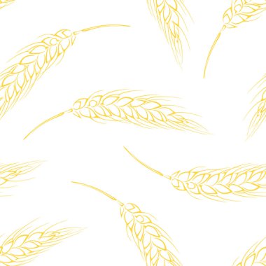 Buğday kulakları kusursuz desen çiziyor. Botanik geçmişi. Tarım fabrikasının vektör illüstrasyonu.