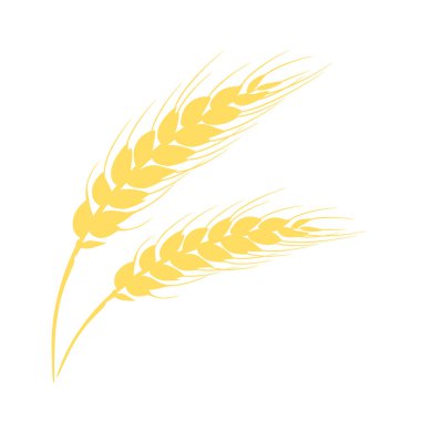 Buğday kulağı silueti. Vektör çizimi. Tarım bitkisi simgesi.