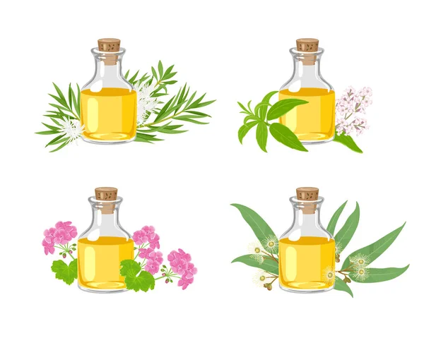 Set Aceite Esencial Frasco Vidrio Aislado Sobre Blanco Verbena Limón — Vector de stock