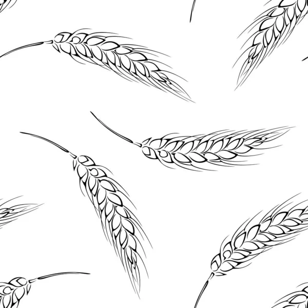 Wheat Spikelet Outline Seamless Pattern Botanical Background Cereal Ears Vector — Stock Vector