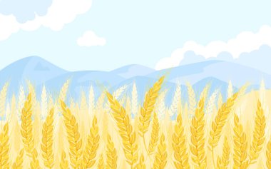 Altın buğday tarlası ve mavi gökyüzü. Vektör karikatür çizimi. Mısır gevreği kulaklı yaz manzarası.