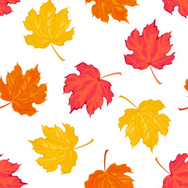 Maple multicolored leaves isolated on white. Seamless pattern with fallen autumn leaves. Botanical vector background. Cartoon illustration.