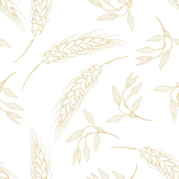 Botanical Background Vector Seamless Pattern Yellow Ears Oats Wheat Outline — Vettoriale Stock