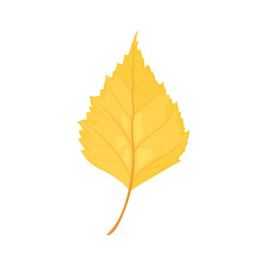 Birch yellow leaf isolated on white background. Autumn vector cartoon illustration.