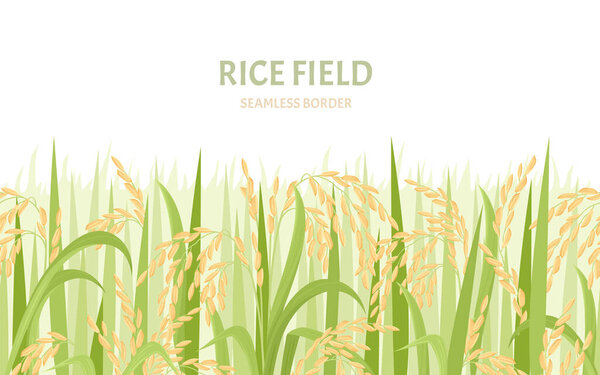 Rice field background. Cereal plants seamless pattern. Vector cartoon illustration of paddy  harvest.