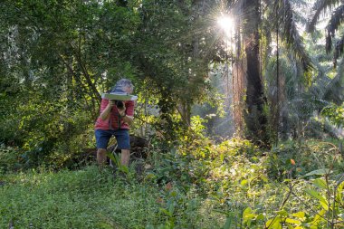 Makro fotoğrafçının iş başındaki boş zamanı.