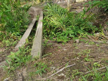 Kanalizasyon yolunu geçmek için basit iki parça tahta köprü.