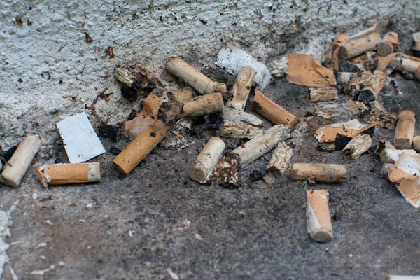 Les Mégots Cigarette Restants Près Chaussée Sale — Photo