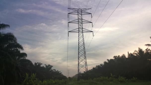 Elektrik Iletim Kulesinin Etrafındaki Sabah Sahnesi — Stok video