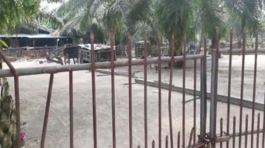 Asya kırsal hayvan çiftliği manzarası