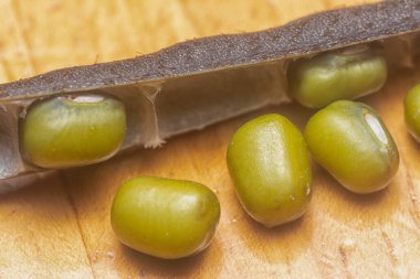 Yeşil fasulyelerin yakın çekimi. 