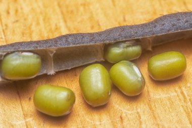 Yeşil fasulyelerin yakın çekimi. 