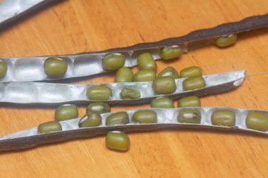 Yeşil fasulyelerin yakın çekimi. 