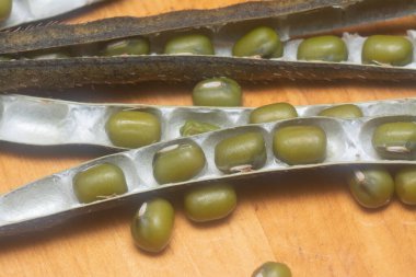 Yeşil fasulyelerin yakın çekimi. 