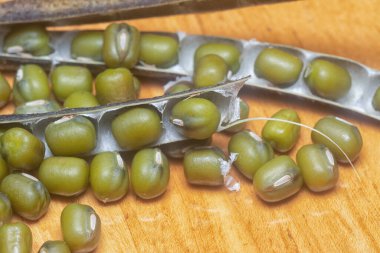 Yeşil fasulyelerin yakın çekimi. 