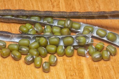 Yeşil fasulyelerin yakın çekimi. 