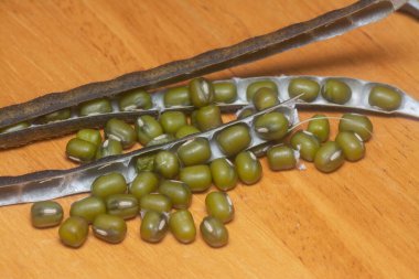 Yeşil fasulyelerin yakın çekimi. 