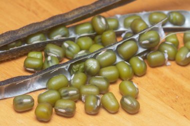 Yeşil fasulyelerin yakın çekimi. 