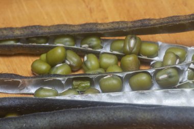 Yeşil fasulyelerin yakın çekimi. 