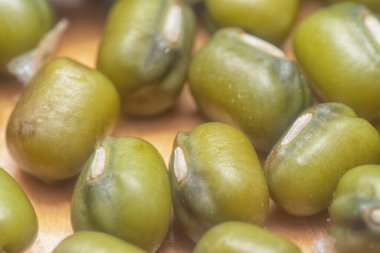 Yeşil fasulyelerin yakın çekimi. 