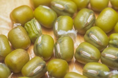 Yeşil fasulyelerin yakın çekimi. 