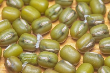 Yeşil fasulyelerin yakın çekimi. 