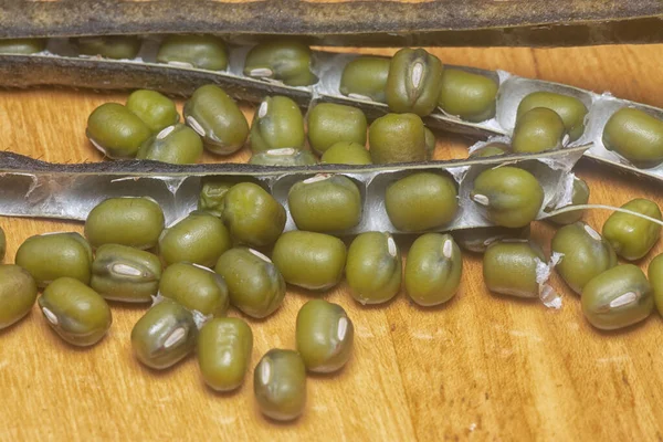 Yeşil fasulyelerin yakın çekimi. 