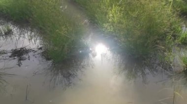 Suyun yüzeyinde parlak güneş yansıması