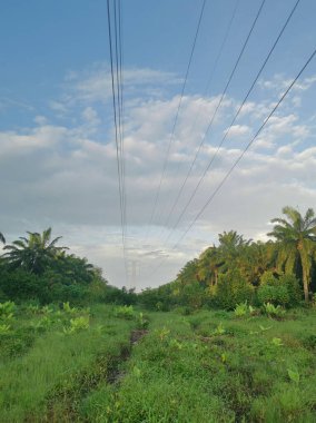 Elektrik iletim kulesinin etrafındaki sabah sahnesi 