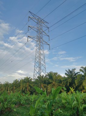 Elektrik iletim kulesinin etrafındaki sabah sahnesi 
