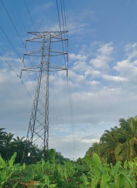 Elektrik iletim kulesinin etrafındaki sabah sahnesi 