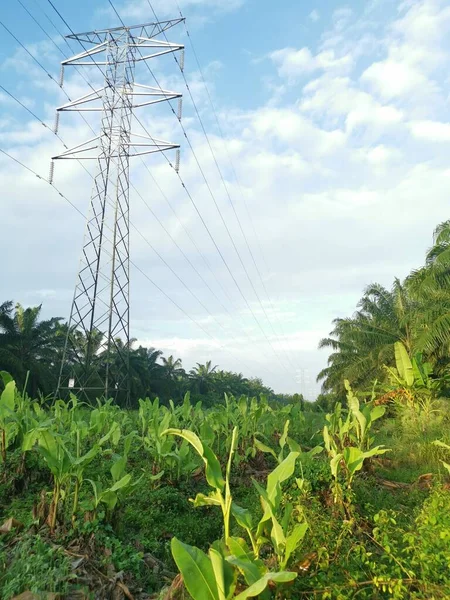 Escena Mañana Alrededor Torre Transmisión Eléctrica —  Fotos de Stock