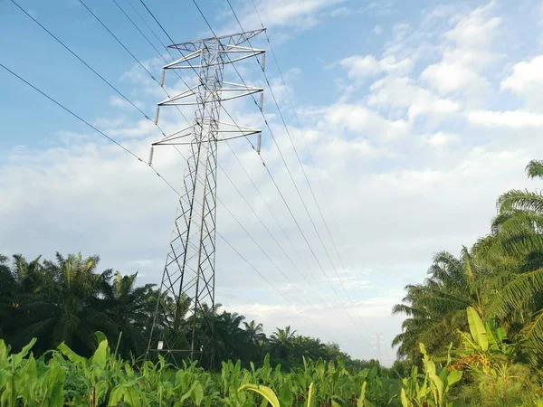 Elektrik iletim kulesinin etrafındaki sabah sahnesi 