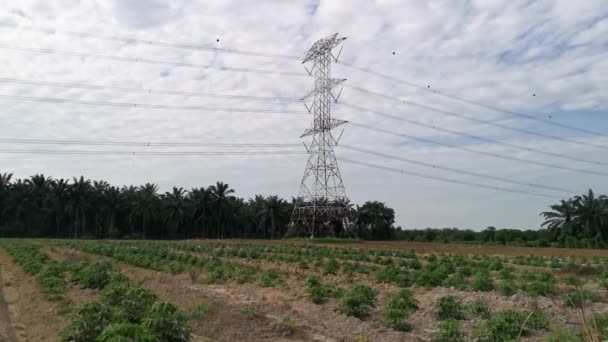 Escena Mañana Alrededor Torre Transmisión Eléctrica — Vídeos de Stock