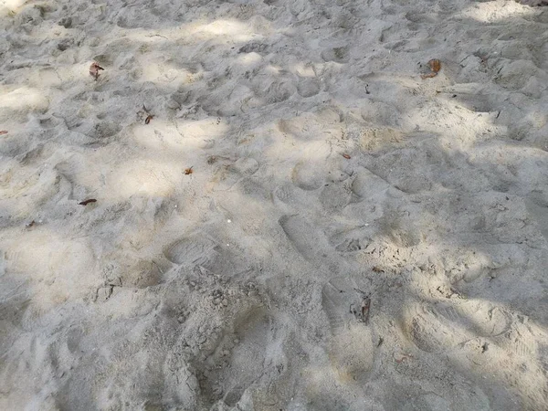 Yta Scen Den Bruna Sandstranden — Stockfoto