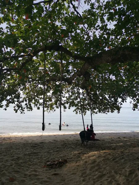 マレーシアのパーク 11月の1 2021 テルク バティック リゾートのエキゾチックなビーチでリラックスした人々のレジャー活動 — ストック写真
