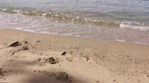 Perak Malezja Listopada 2021 Wypoczynek Osób Relaksujących Się Egzotycznej Plaży — Wideo stockowe
